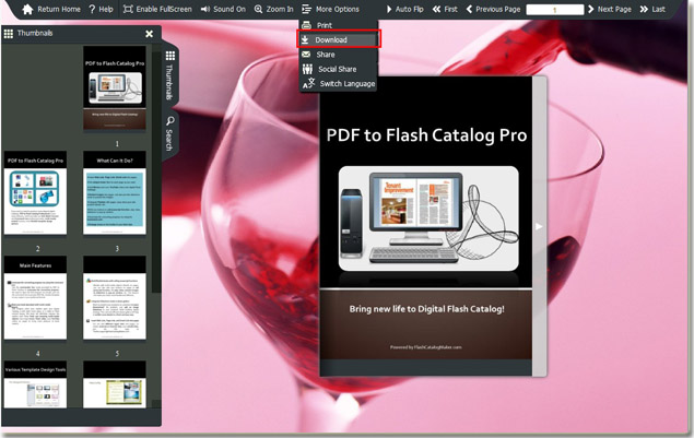 flash catalog screen shot with download button