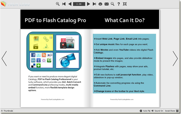click print button to print area of flash catalog